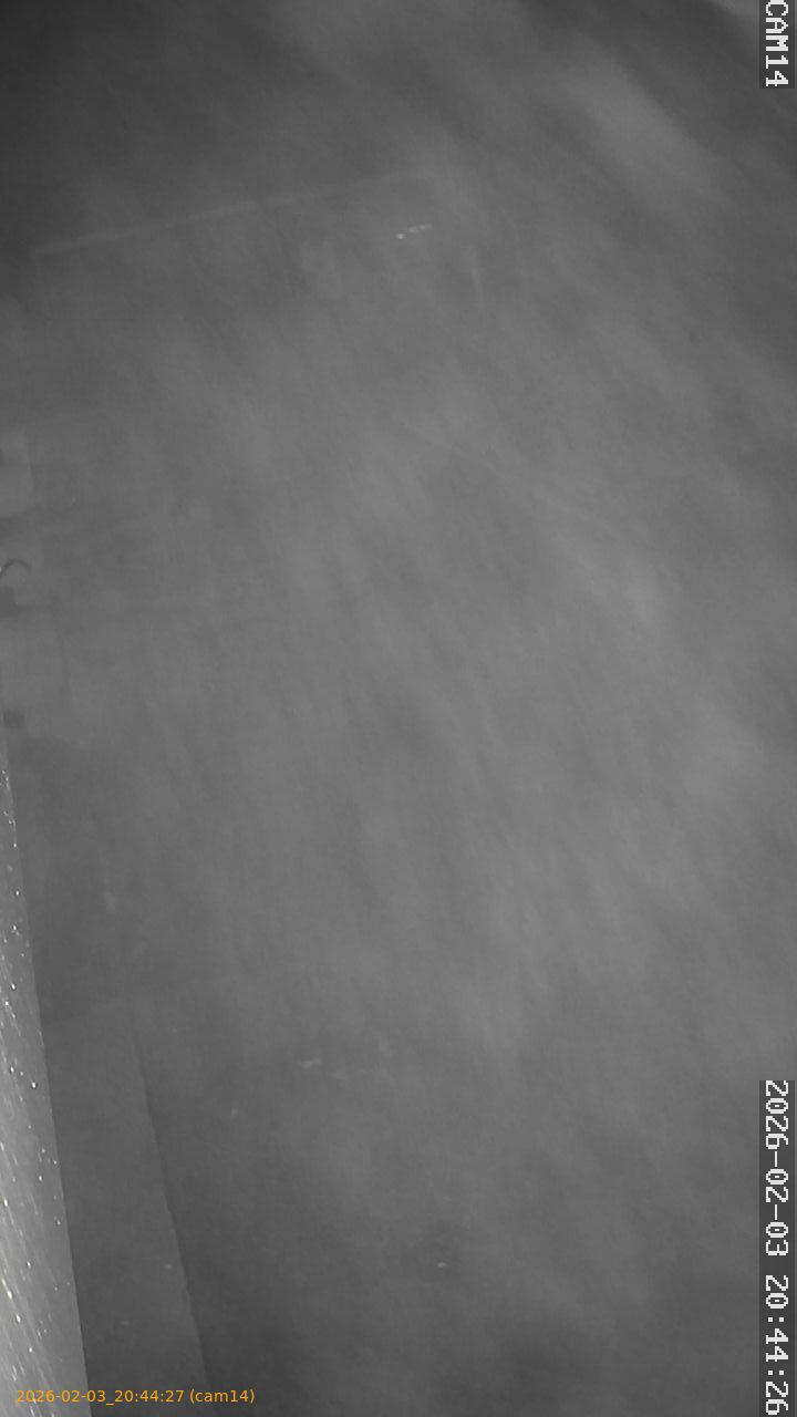 thumbnail_20260203204427