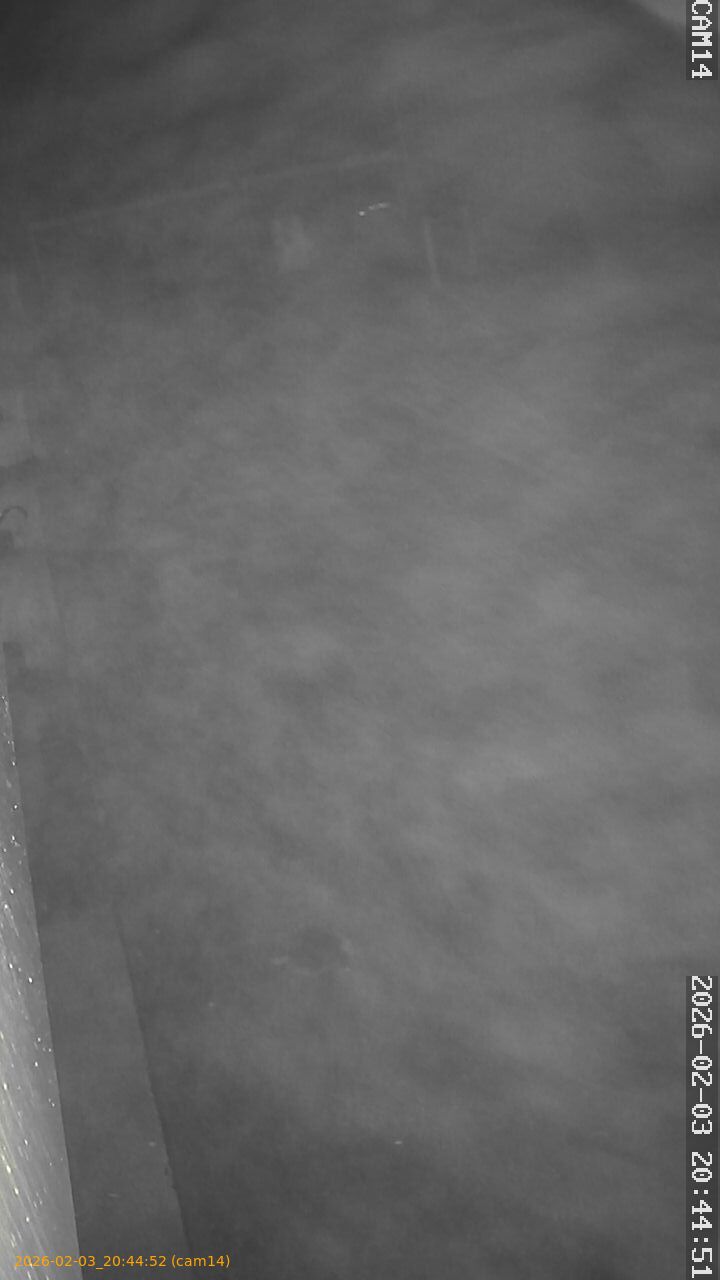 thumbnail_20260203204452