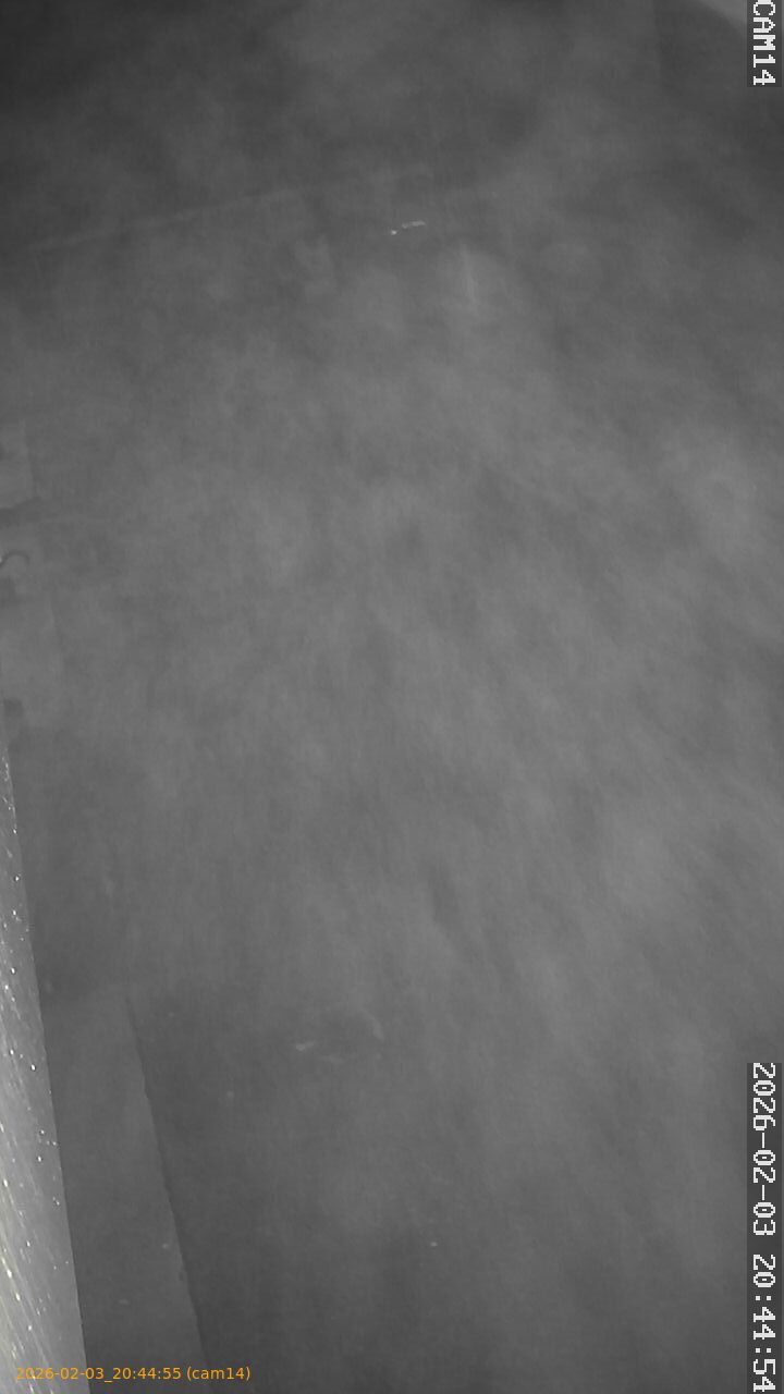 thumbnail_20260203204455