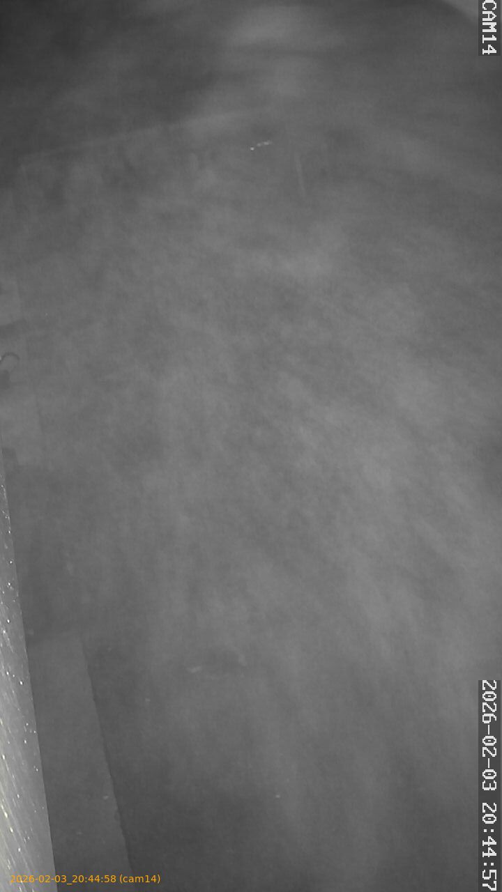 thumbnail_20260203204458