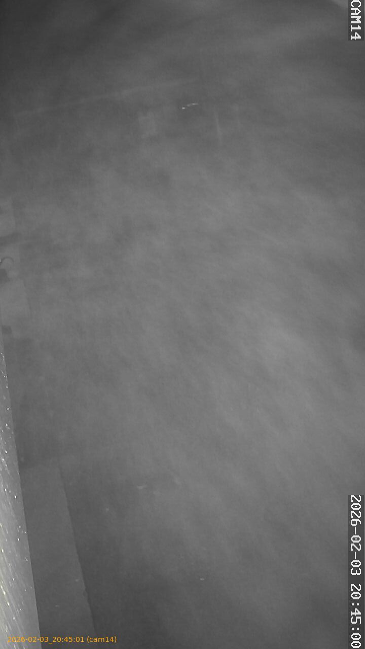 thumbnail_20260203204501