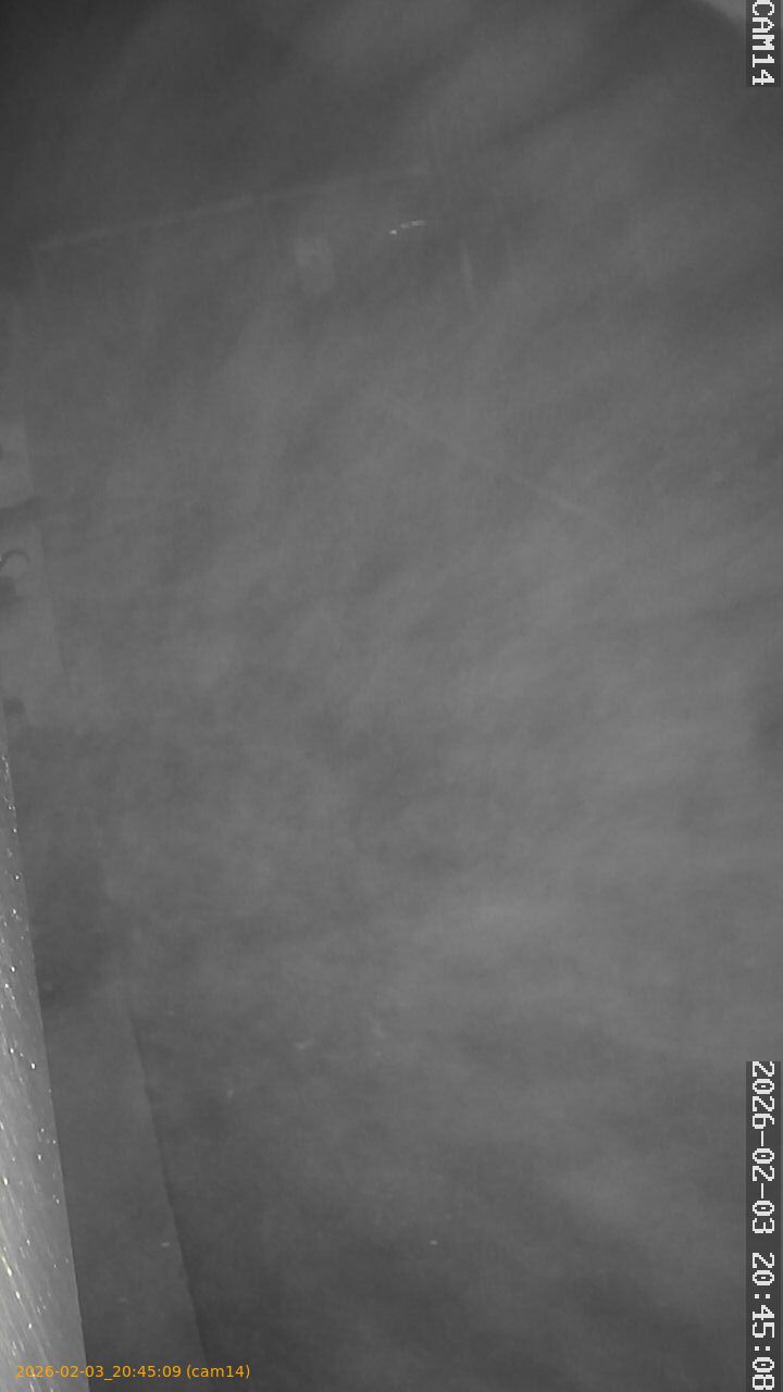 thumbnail_20260203204509