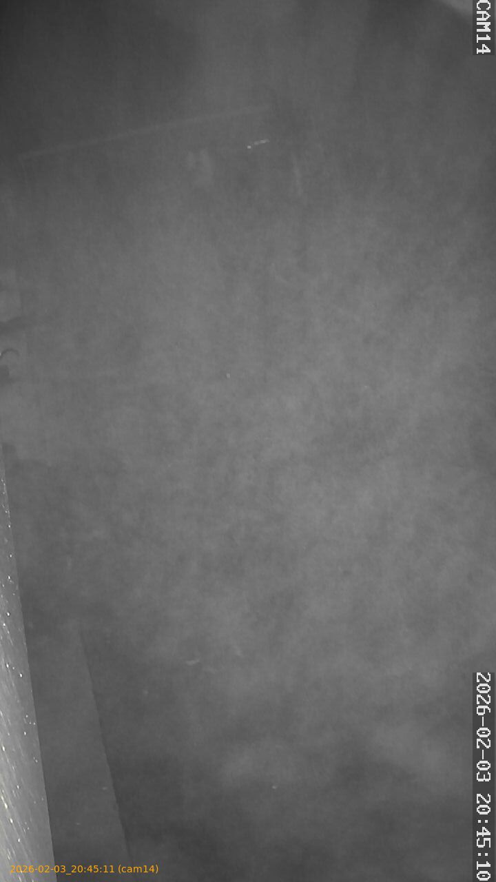 thumbnail_20260203204511