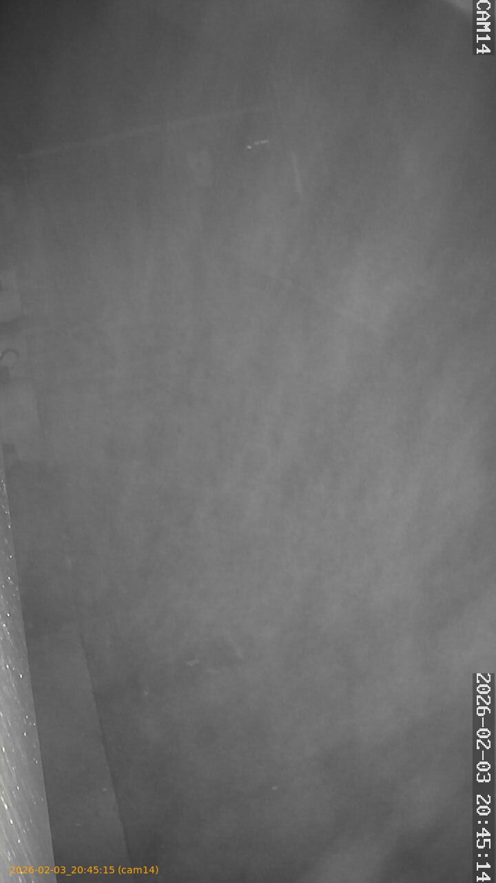 thumbnail_20260203204515