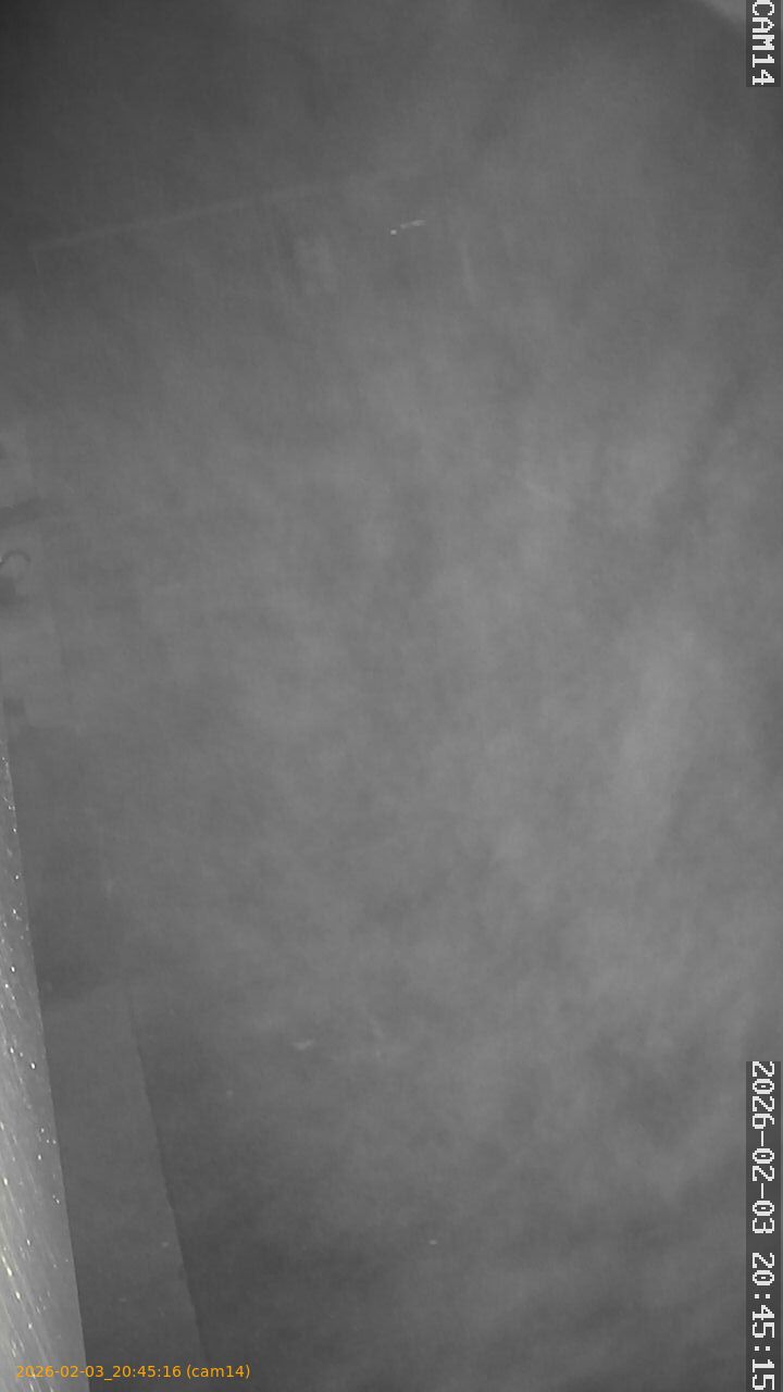 thumbnail_20260203204516