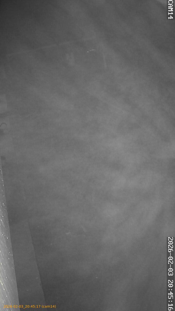 thumbnail_20260203204517