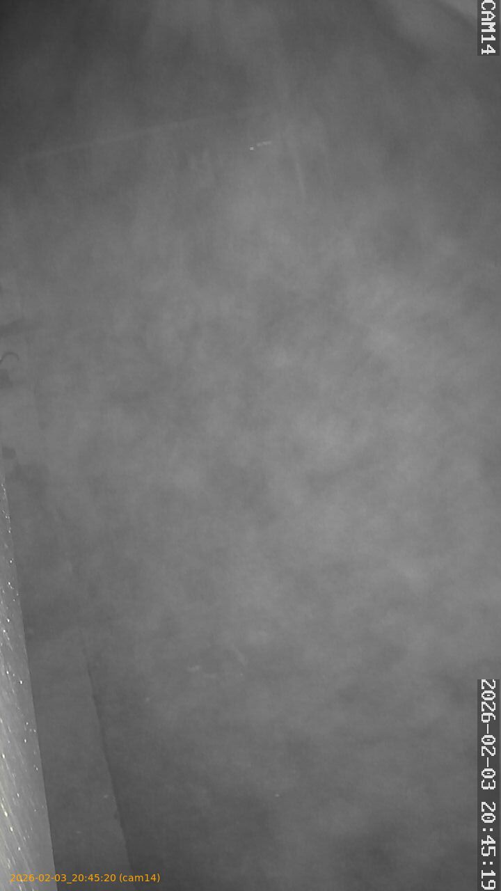 thumbnail_20260203204520