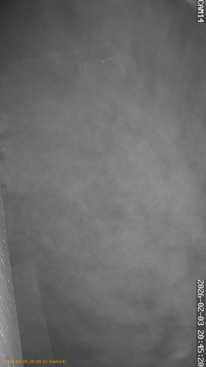 thumbnail_20260203204521