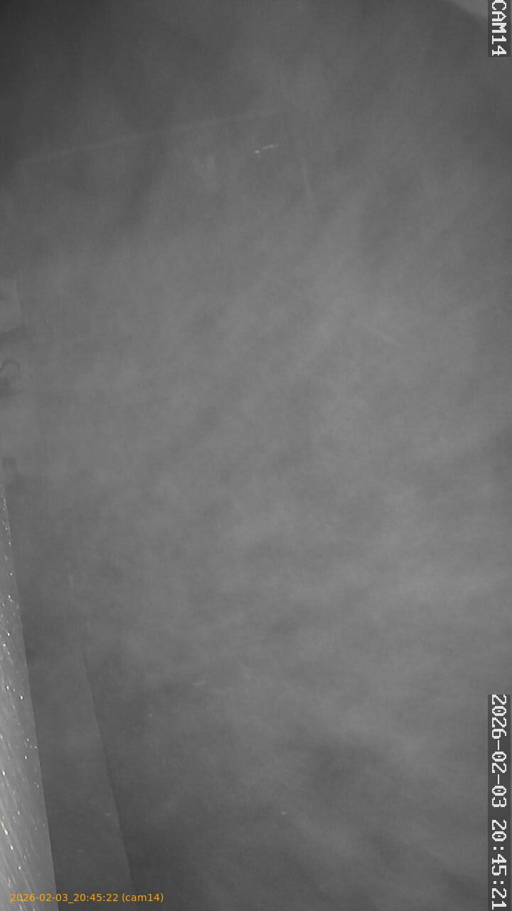 thumbnail_20260203204522