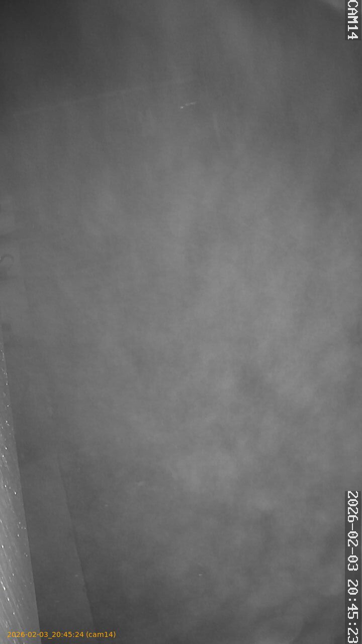 thumbnail_20260203204524