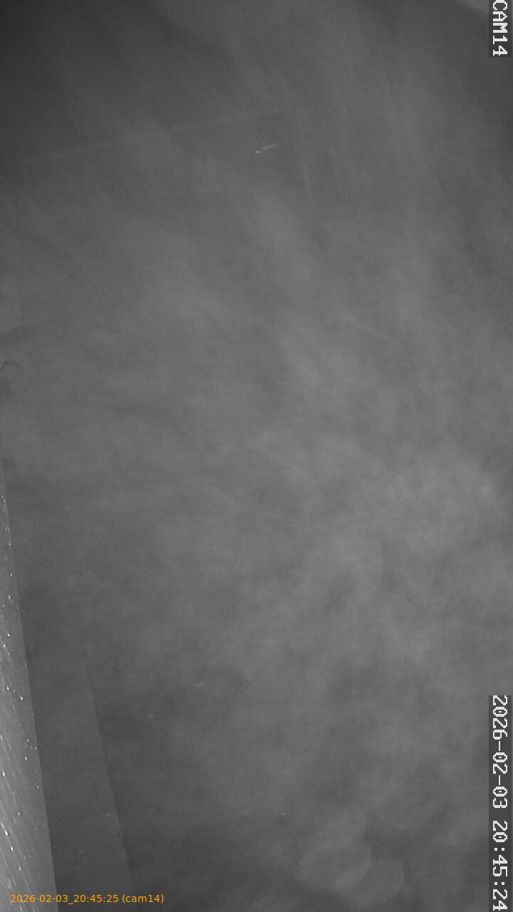 thumbnail_20260203204525