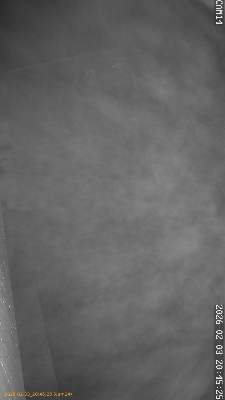 thumbnail_20260203204526