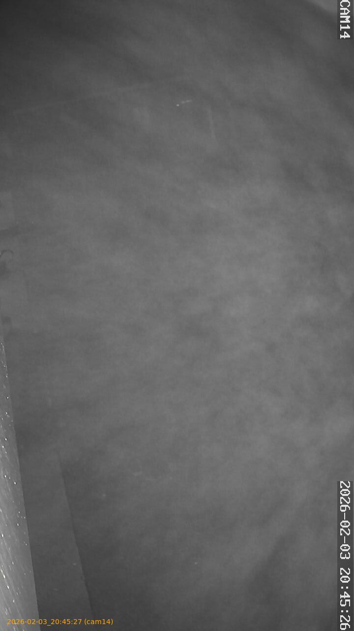 thumbnail_20260203204527