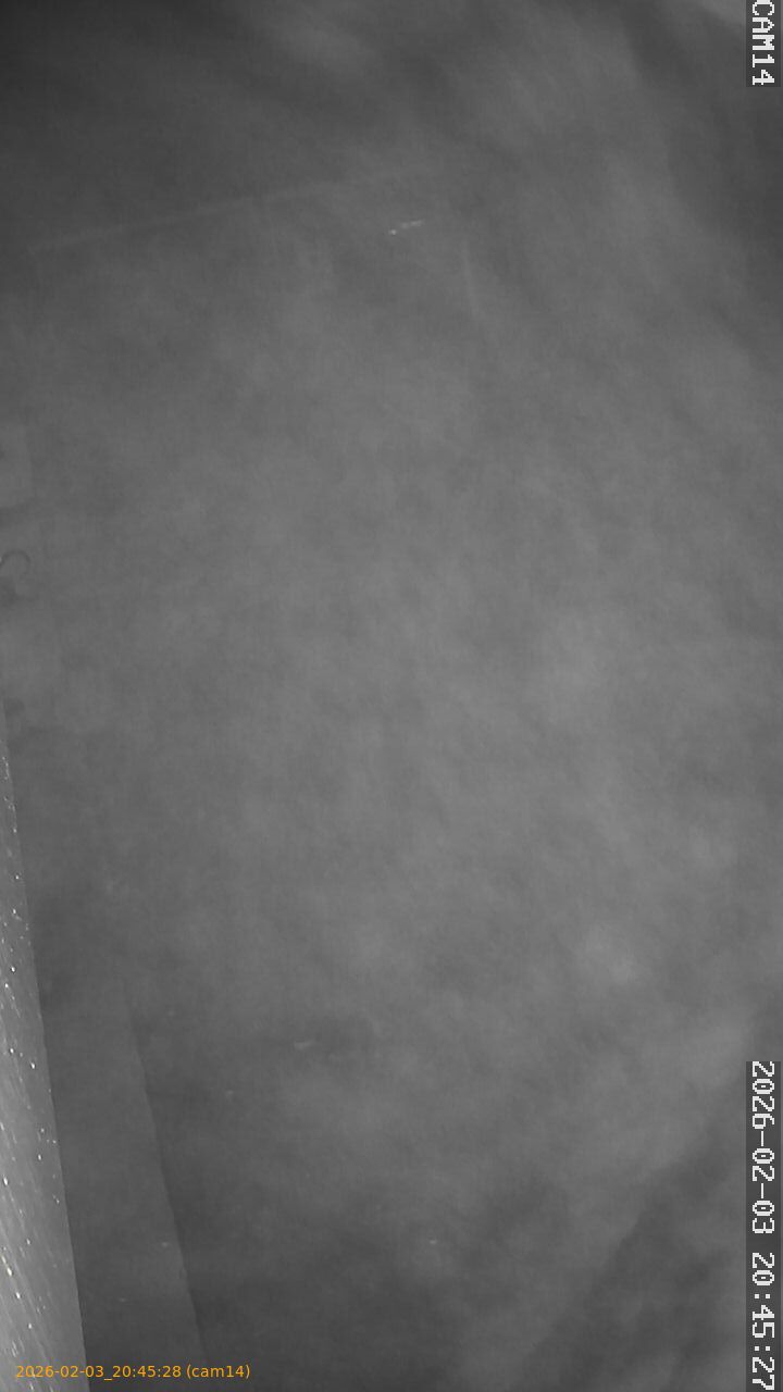 thumbnail_20260203204528