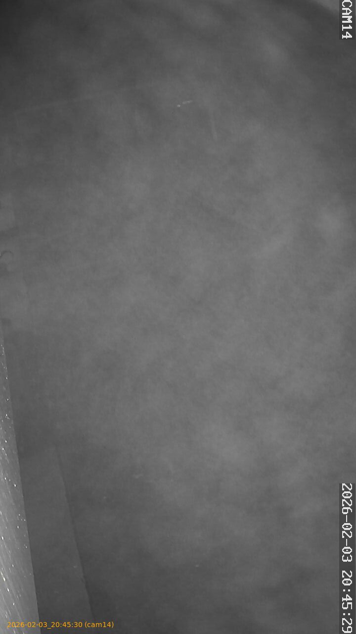 thumbnail_20260203204530