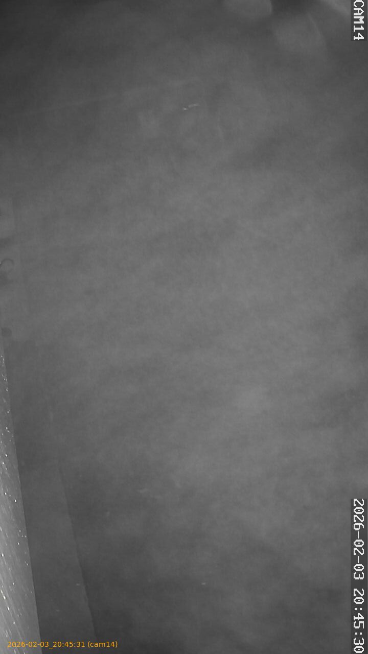 thumbnail_20260203204531