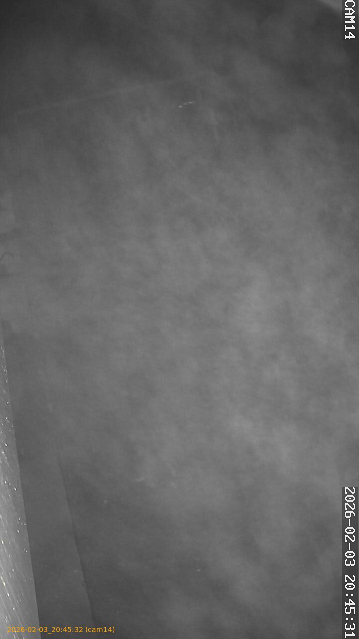 thumbnail_20260203204532