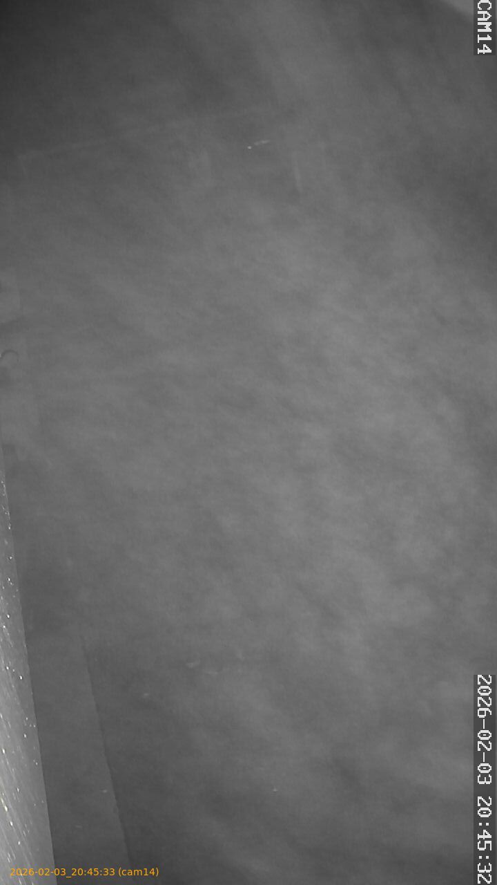 thumbnail_20260203204533