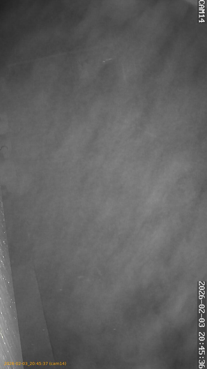 thumbnail_20260203204537