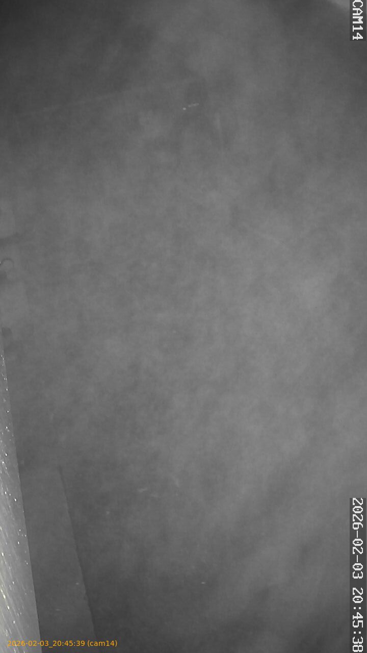 thumbnail_20260203204539