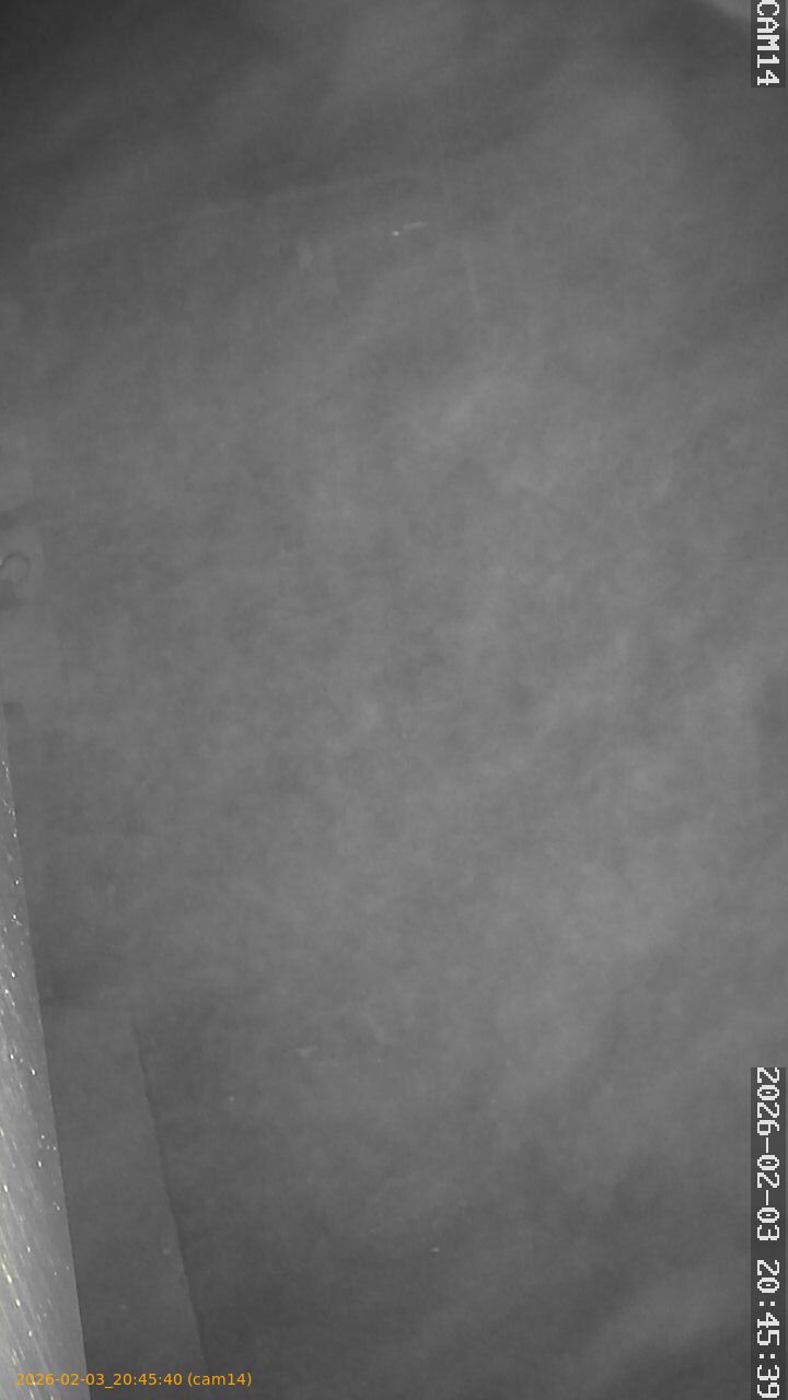 thumbnail_20260203204540