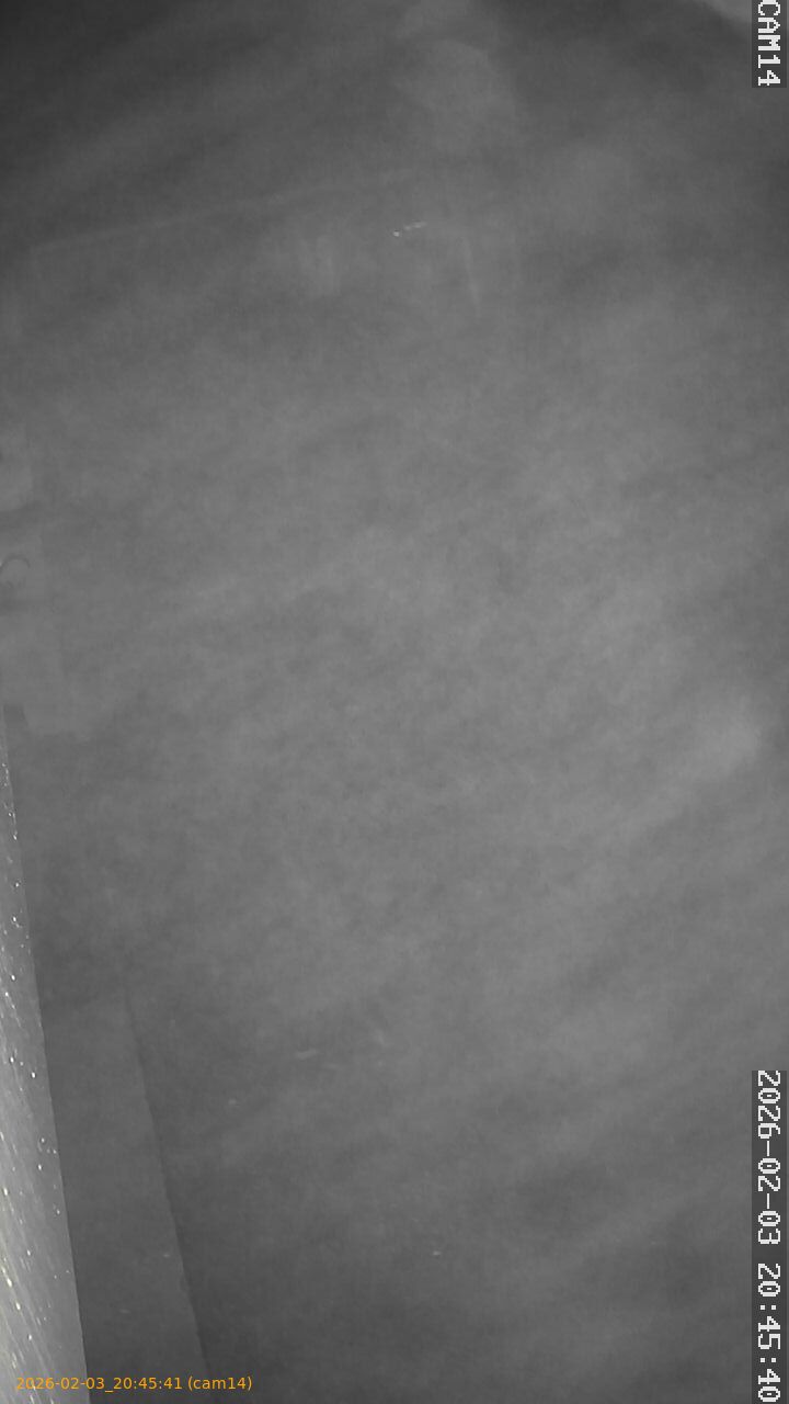 thumbnail_20260203204541