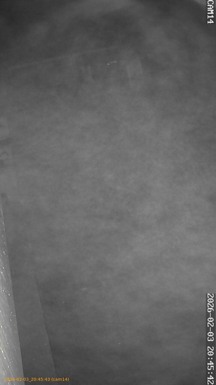 thumbnail_20260203204543