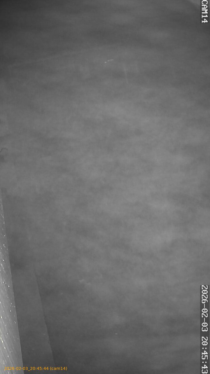 thumbnail_20260203204544