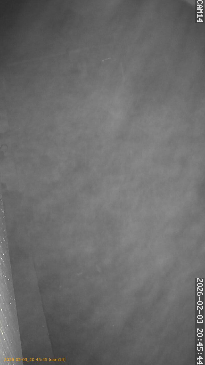 thumbnail_20260203204545