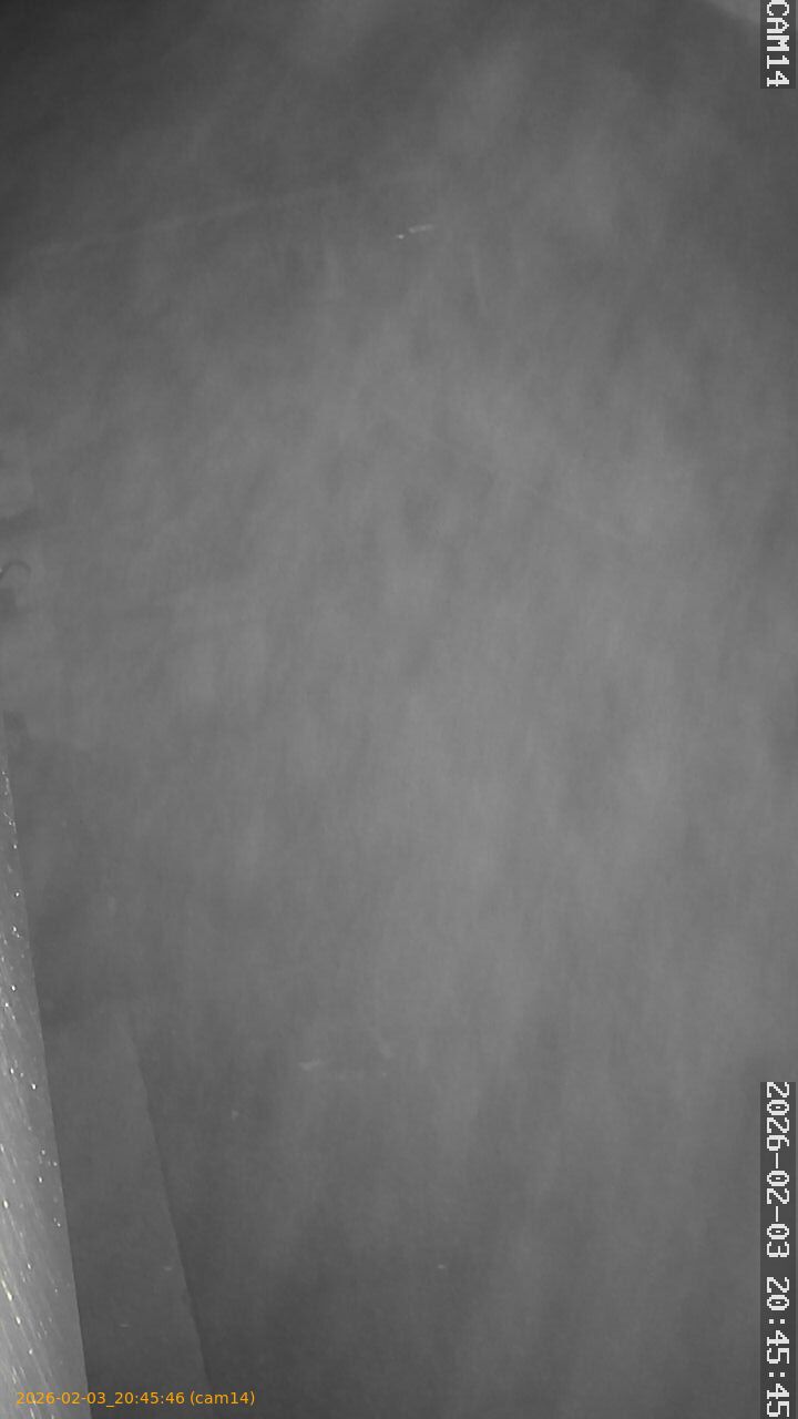 thumbnail_20260203204546