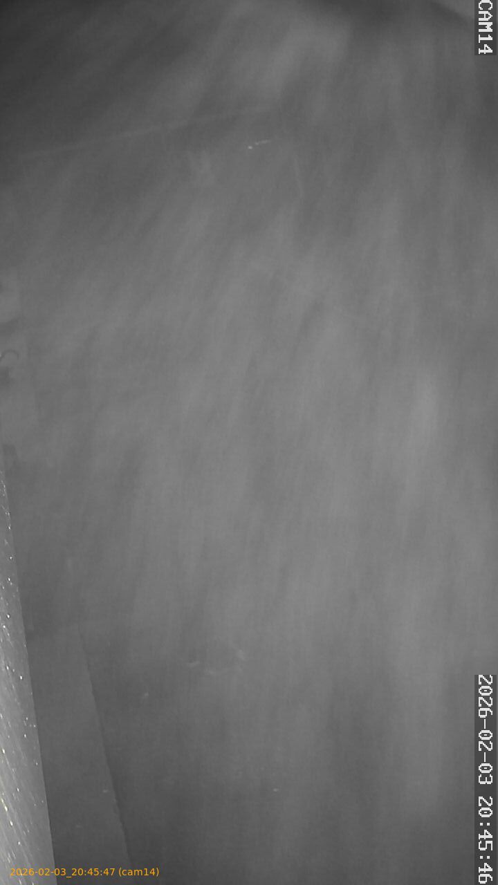 thumbnail_20260203204547