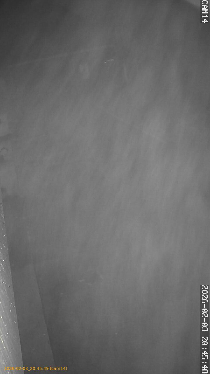 thumbnail_20260203204549