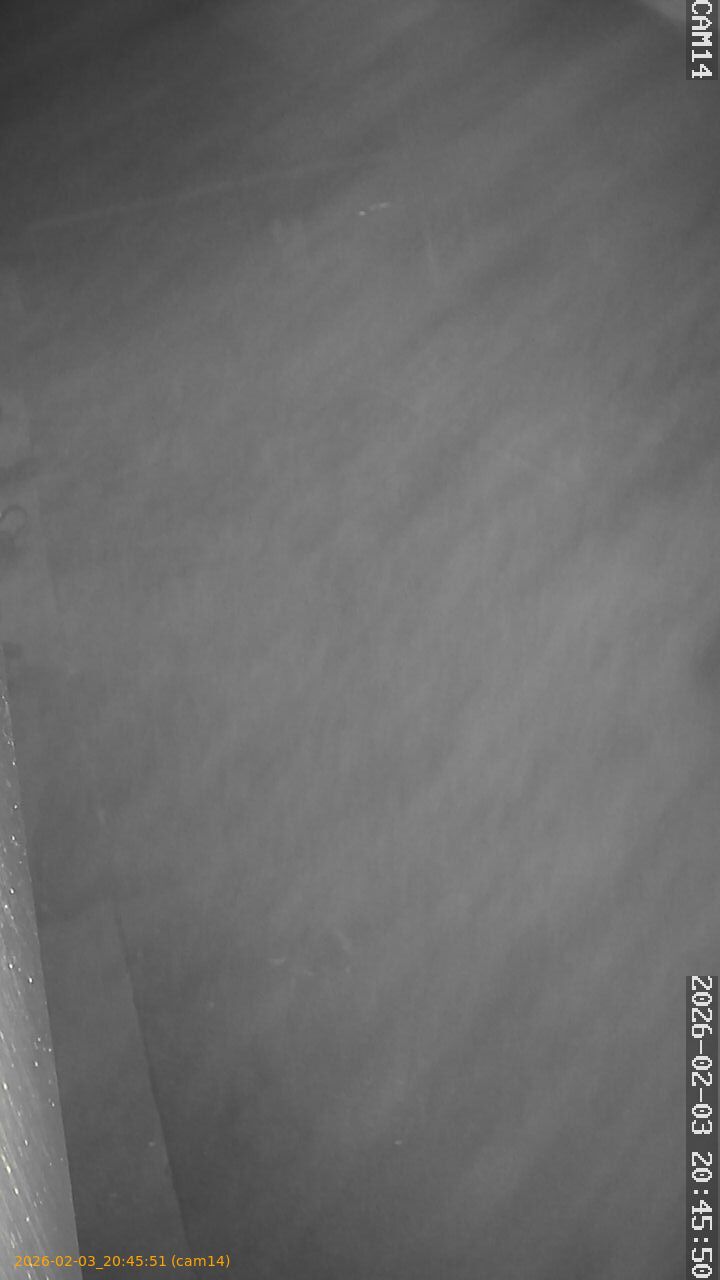 thumbnail_20260203204551