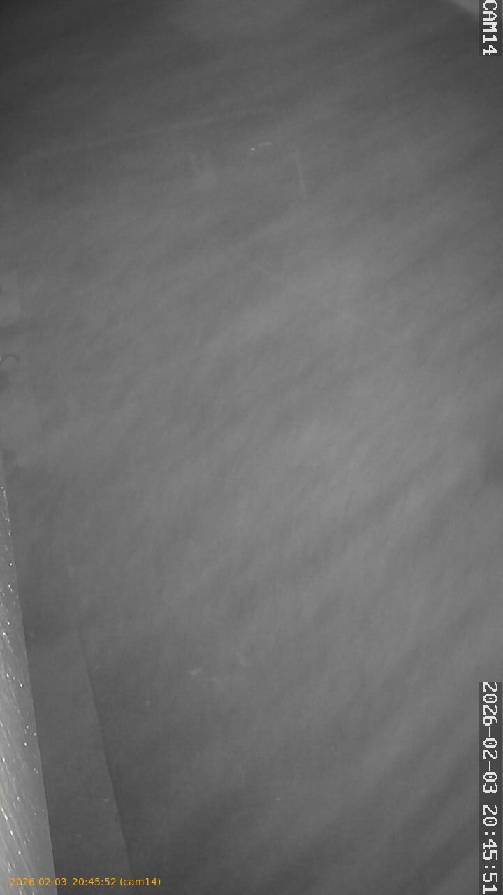 thumbnail_20260203204552