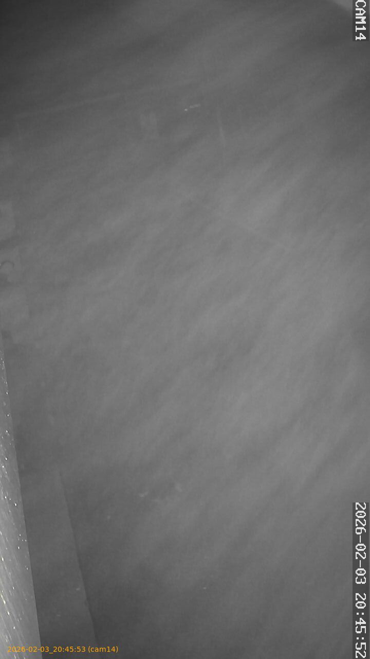 thumbnail_20260203204553