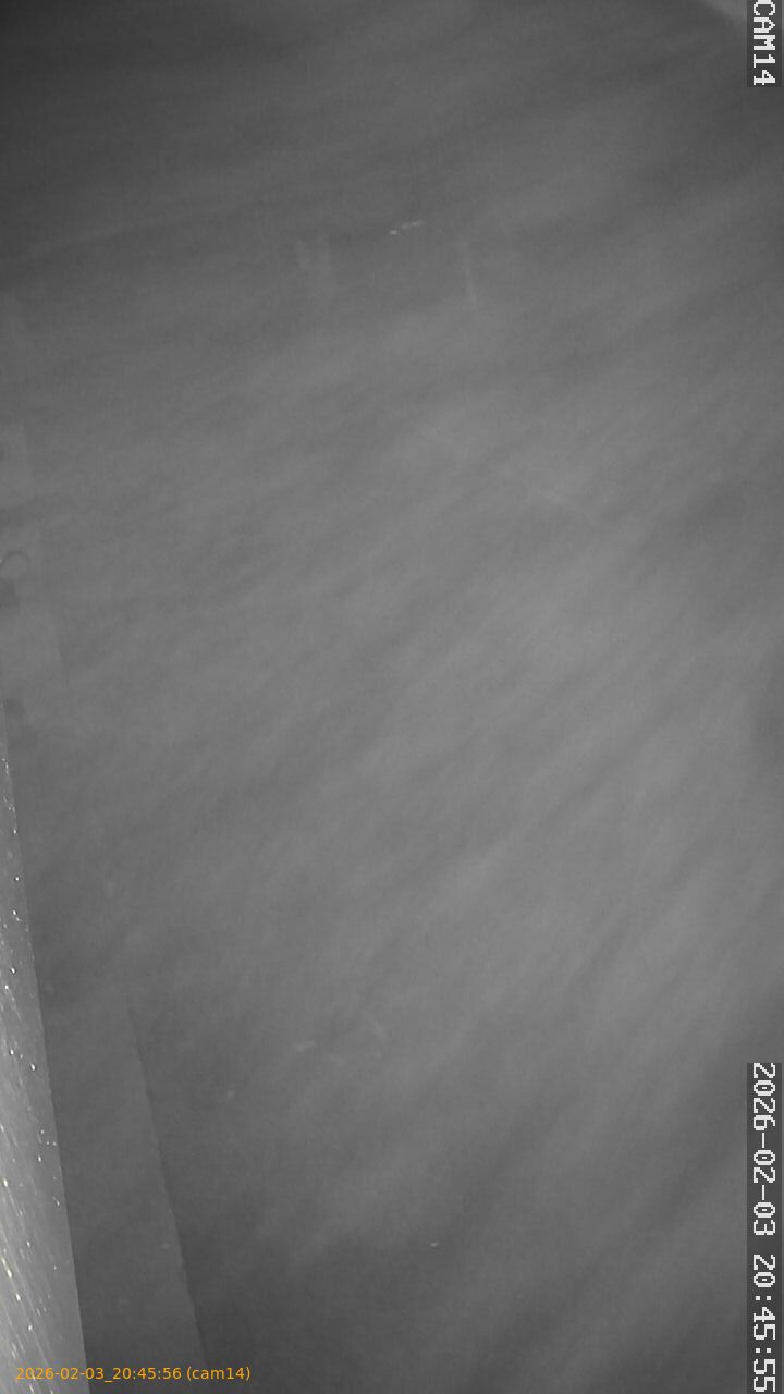 thumbnail_20260203204556