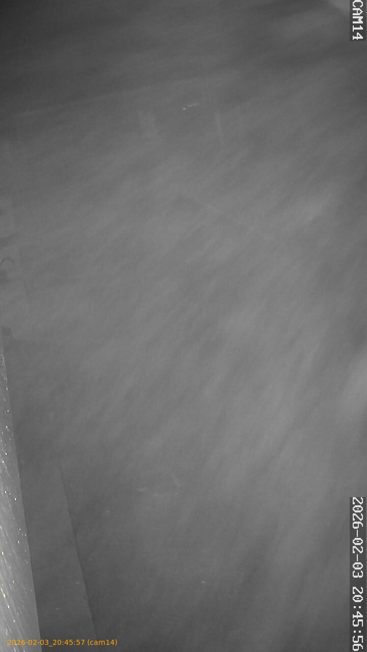 thumbnail_20260203204557