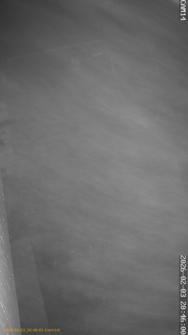 thumbnail_20260203204601