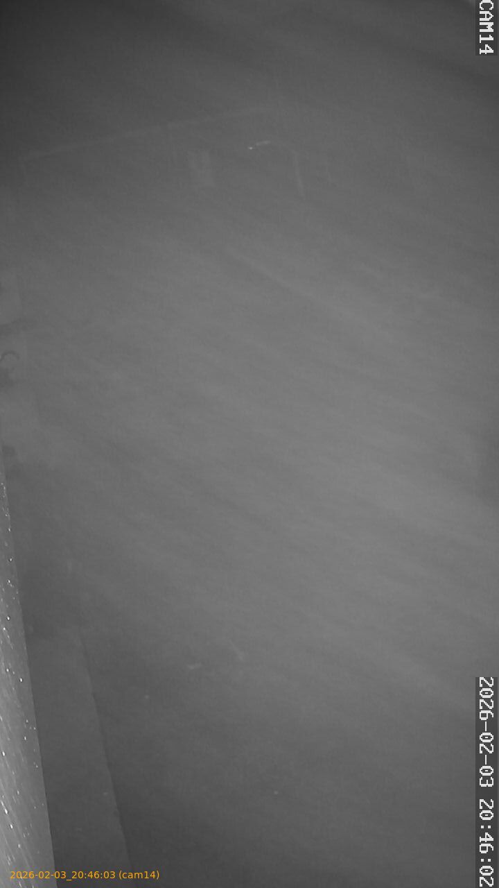 thumbnail_20260203204603