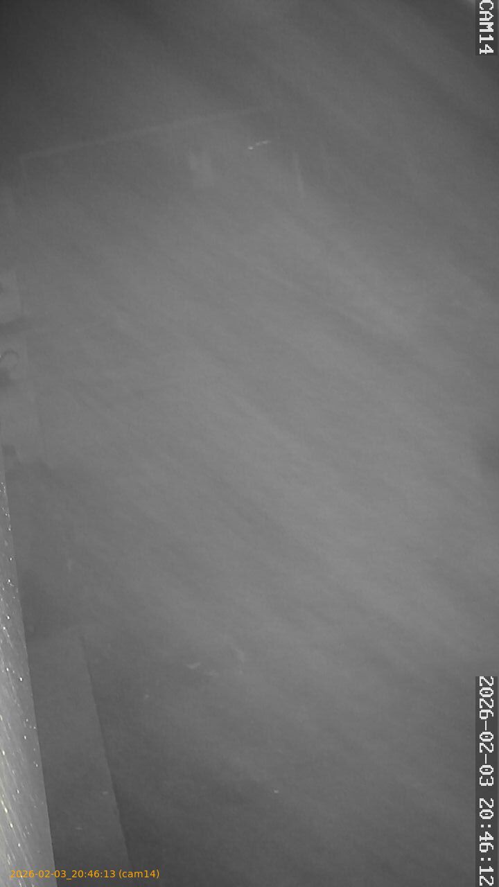 thumbnail_20260203204613