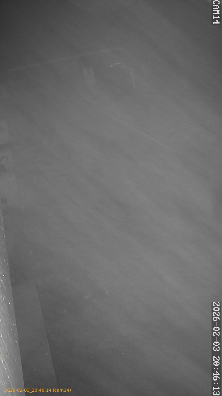 thumbnail_20260203204614