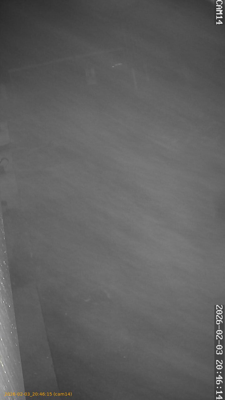 thumbnail_20260203204615