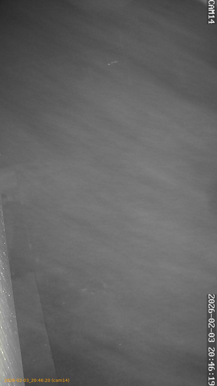 thumbnail_20260203204620