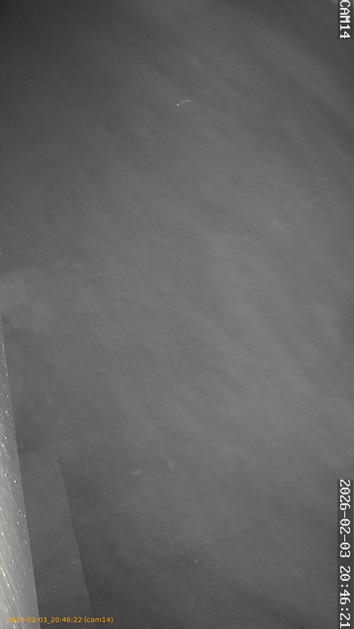 thumbnail_20260203204622