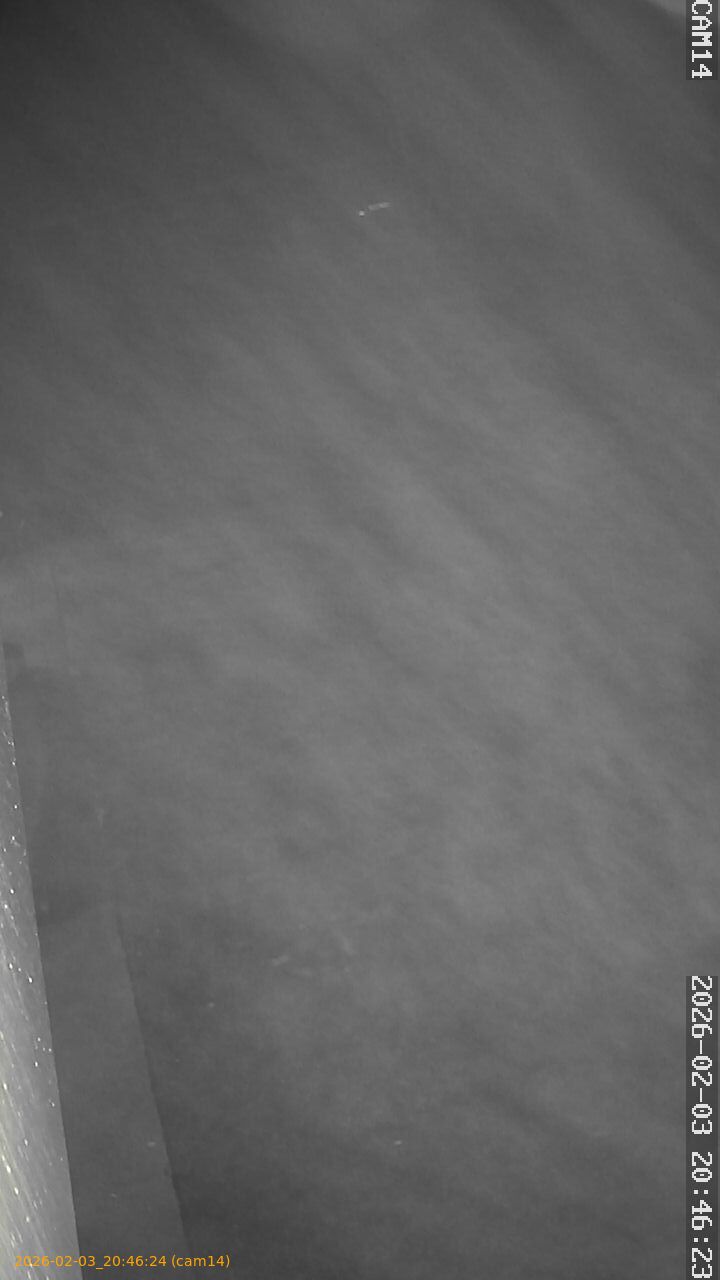 thumbnail_20260203204624