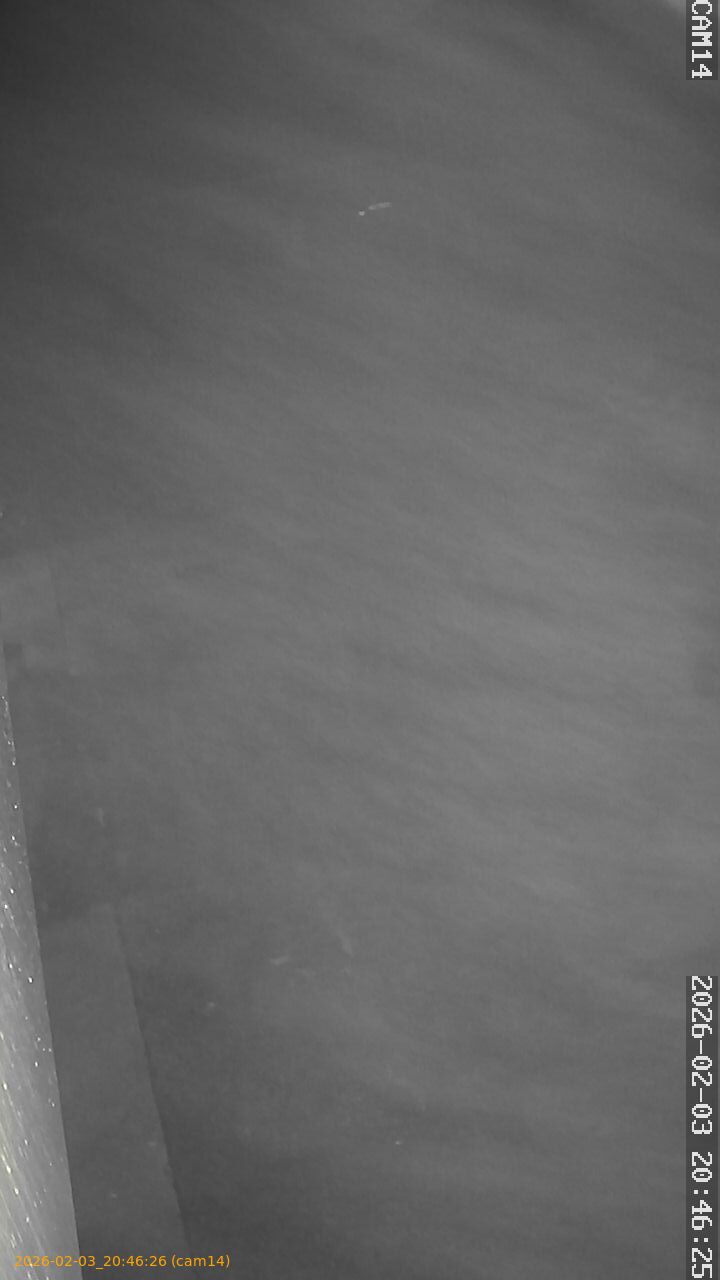 thumbnail_20260203204626