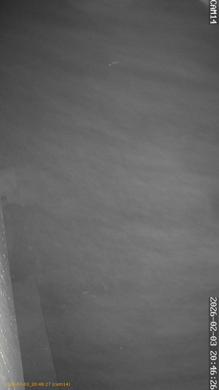 thumbnail_20260203204627