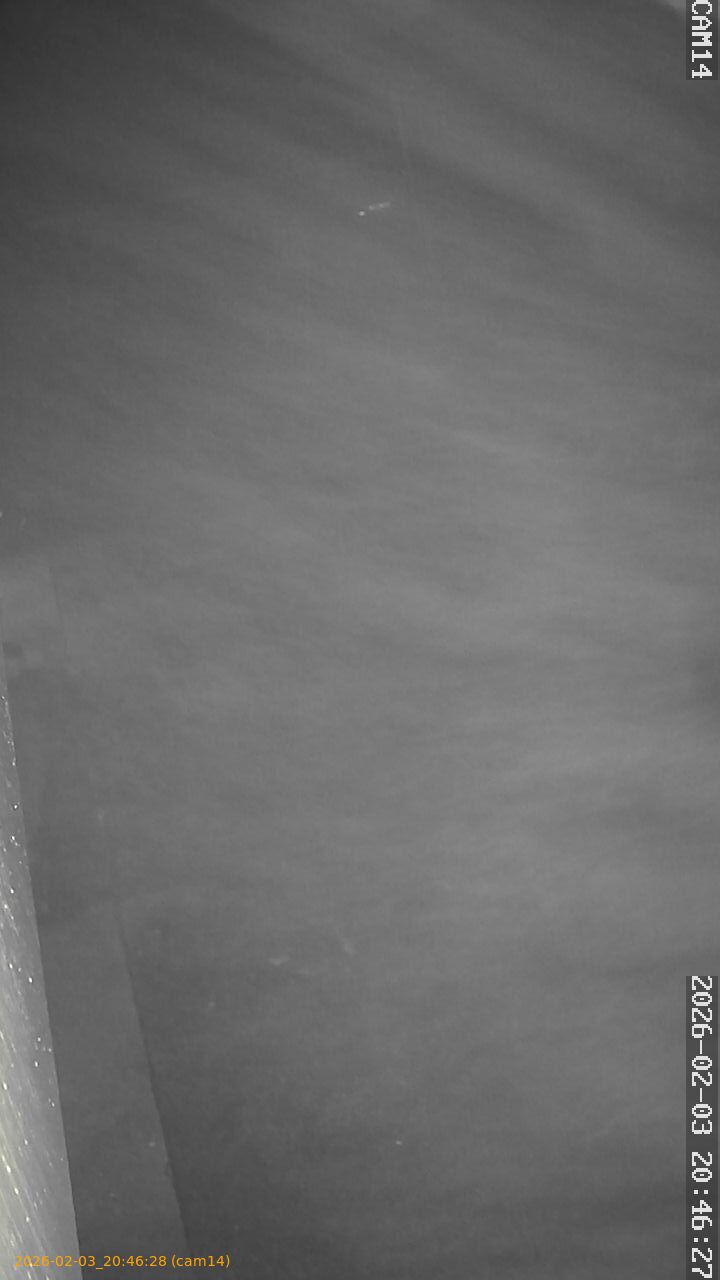 thumbnail_20260203204628