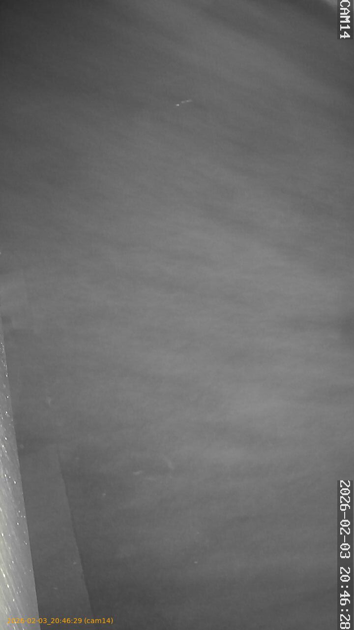 thumbnail_20260203204629