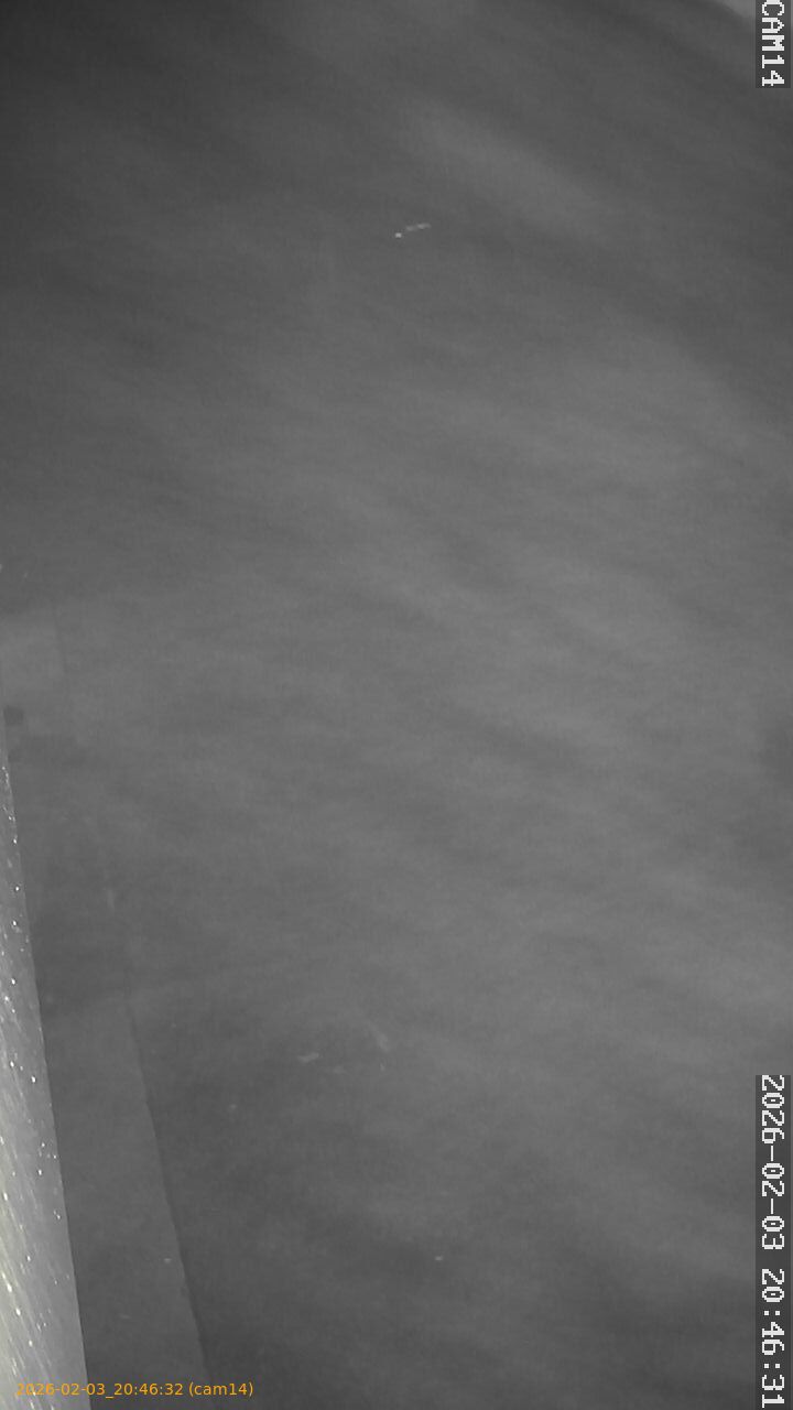 thumbnail_20260203204632